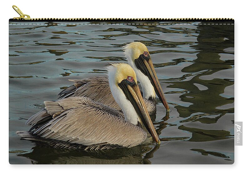 Jean Noren Zip Pouch featuring the photograph Pelican Duo by Jean Noren