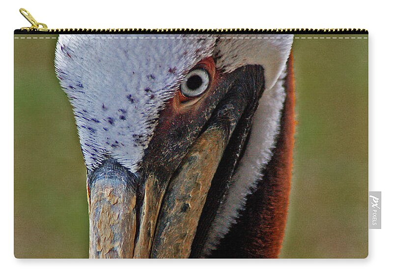 Pelican Carry-all Pouch featuring the painting Pelican Head by Michael Thomas