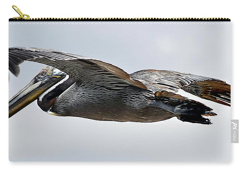 Pelican Zip Pouch featuring the photograph Pelican in Flight by WAZgriffin Digital
