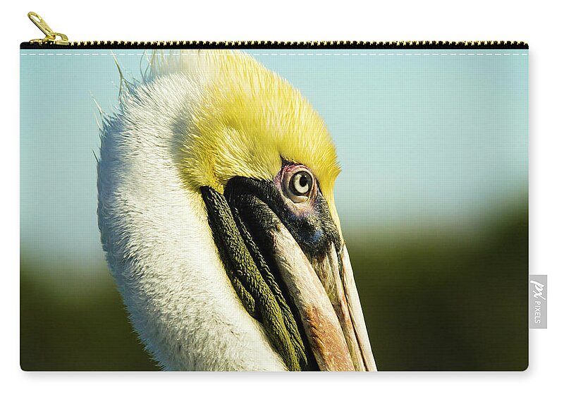 Pelican Zip Pouch featuring the photograph Pelican by Jason Hughes