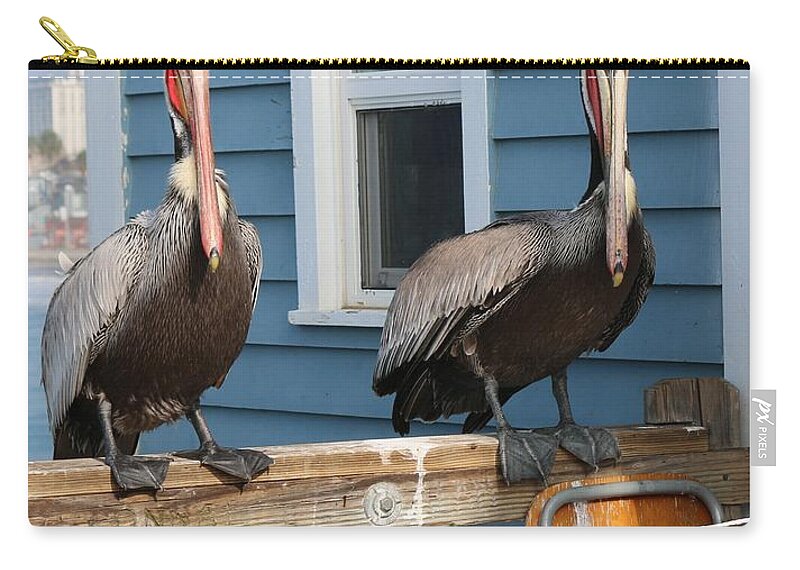 Pelican Zip Pouch featuring the photograph Pelican Pals - 3 by Christy Pooschke