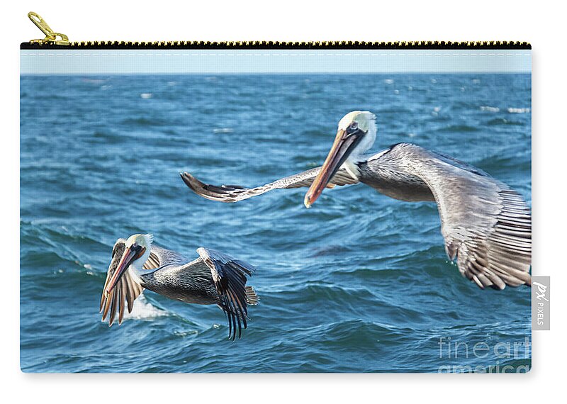 Pelican Zip Pouch featuring the photograph Pelicans Flying by Robert Bales