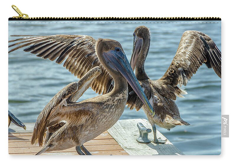 Pelican Zip Pouch featuring the photograph Pelicans of Lantana by Wolfgang Stocker