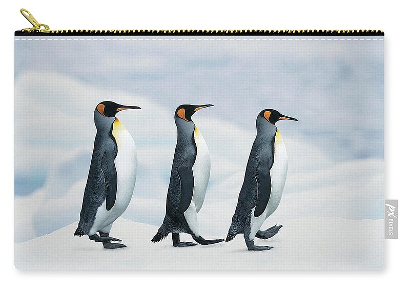 Penguin Zip Pouch featuring the photograph Penguin by Jackie Russo