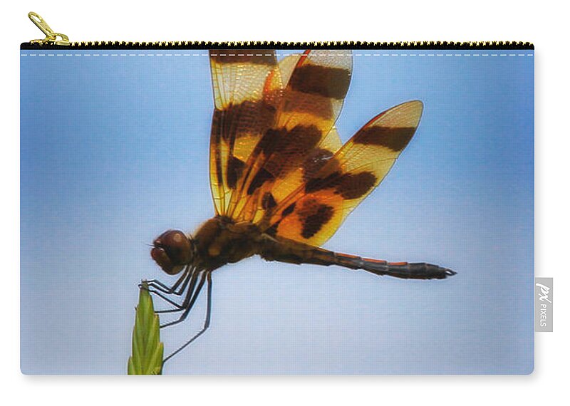 Colorado Zip Pouch featuring the photograph Pennant Dragonfly by Juli Ellen
