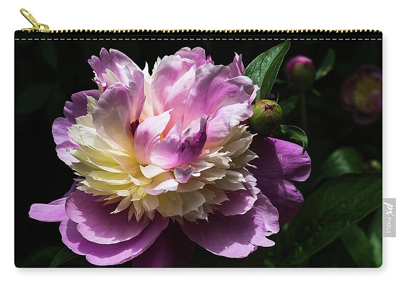 Spring Carry-all Pouch featuring the photograph Peony in June by John Roach