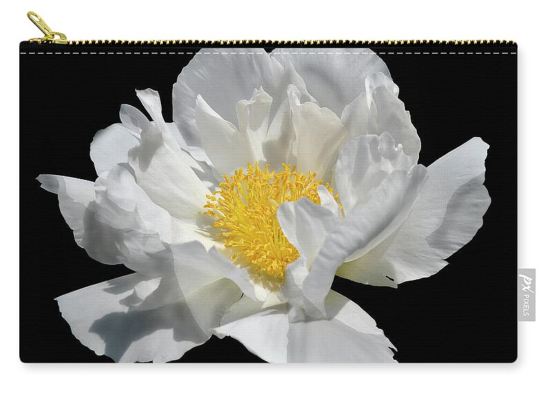 Diane Berry Zip Pouch featuring the photograph Peony June by Diane E Berry