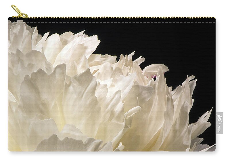 Peony Zip Pouch featuring the photograph Peony by Karen Smale