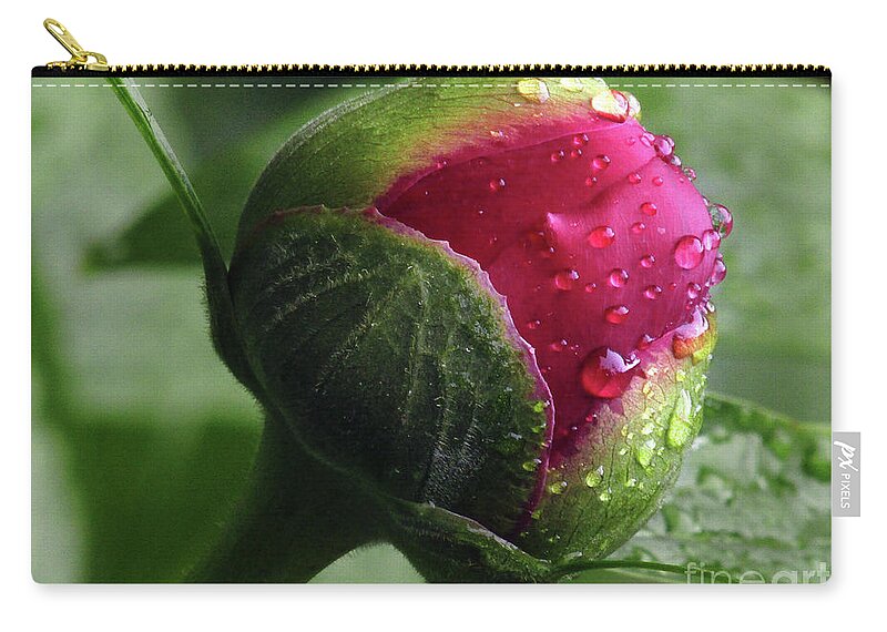 Peony Zip Pouch featuring the photograph Peony Love 2 by Kim Tran