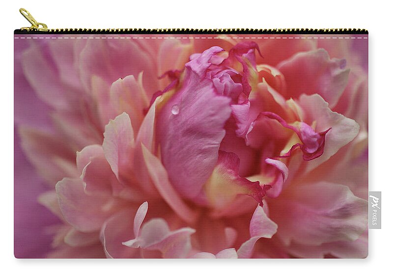 Pink Peony Zip Pouch featuring the photograph Peony Opening by Sandy Keeton
