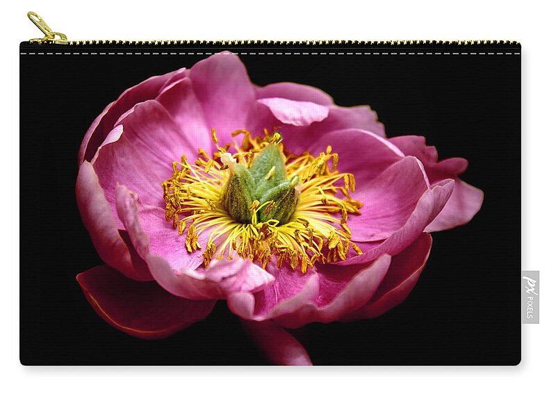 Peony Zip Pouch featuring the photograph Peony Pride by Jessica Jenney
