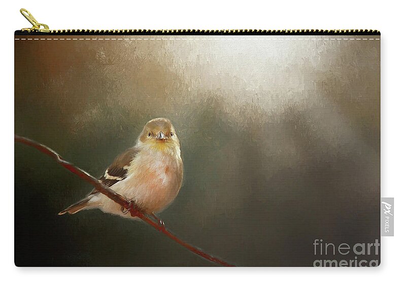 Perched Goldfinch Zip Pouch featuring the photograph Perched Goldfinch by Darren Fisher