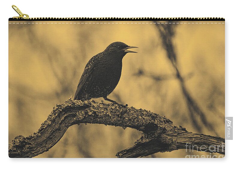 Bird Zip Pouch featuring the photograph Perched In The Old Oak by Joe Geraci