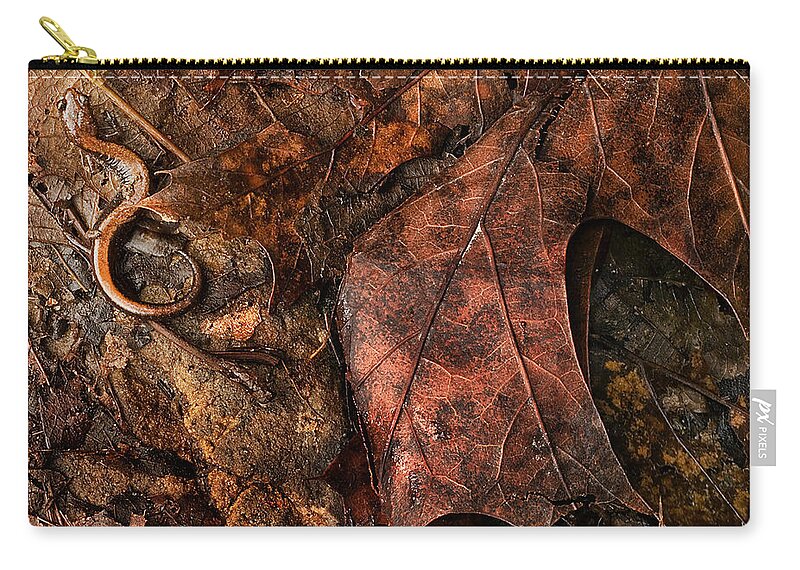 Salamander Zip Pouch featuring the photograph Perfect Disguise by Jill Love