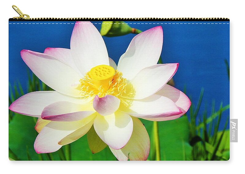 Flower Zip Pouch featuring the photograph Perfect Lily by Jan Gelders