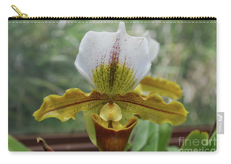Orchid Zip Pouch featuring the photograph Perfect White and Yellow Blooming Orchid Flower Blossom by DejaVu Designs
