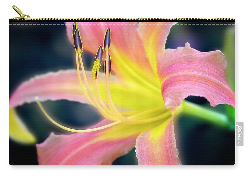 Beautiful Zip Pouch featuring the photograph Perfection of a bloom. by Usha Peddamatham