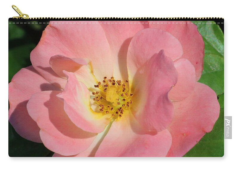Nature Zip Pouch featuring the photograph Perfectly Pink by Sheila Brown