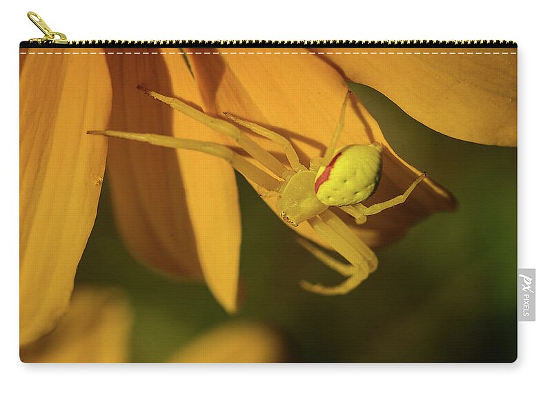 Black Eyed Susie Zip Pouch featuring the photograph Peril Among the Petals by Ron Dubreuil