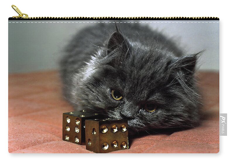 Persian Kitten Zip Pouch featuring the photograph Persian Cat with Dice by Sally Weigand