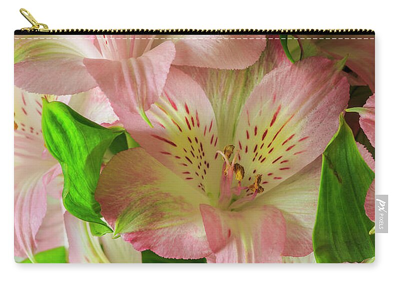 Peruvian Lilies Zip Pouch featuring the photograph Peruvian Lilies In Bloom by Richard J Thompson
