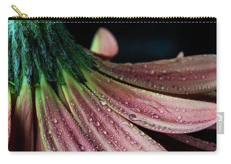 Daisy Zip Pouch featuring the photograph Petal Perfect by Tammy Ray