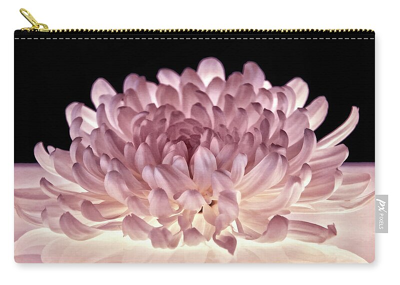 Mums Zip Pouch featuring the photograph Petal Purity by Leda Robertson