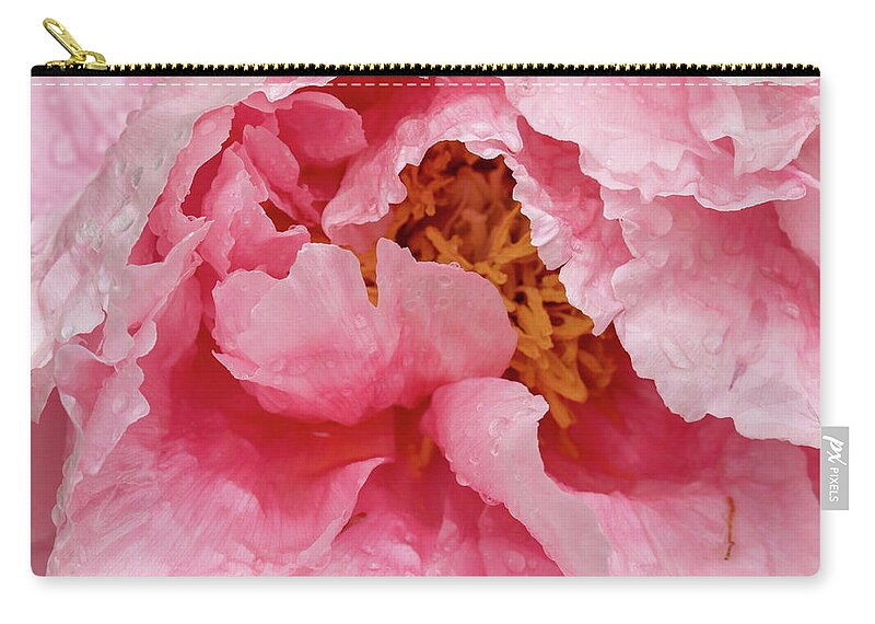 Paeonia Lactiflora Zip Pouch featuring the photograph Petals on Chinese peony abstract background by Karen Foley