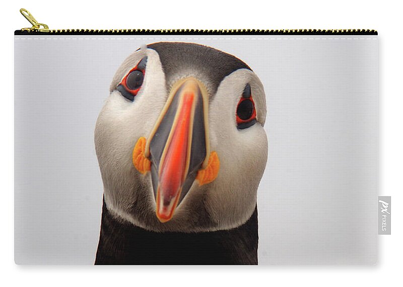 Puffin Zip Pouch featuring the photograph Peter the Puffin by Jane Axman