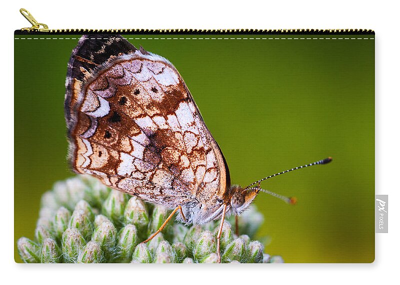 Insect Zip Pouch featuring the photograph Phaon Crescent by Jeff Phillippi