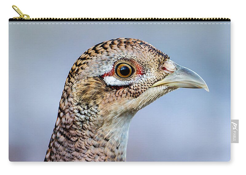 Pheasant Hen Carry-all Pouch featuring the photograph Pheasant Hen by Torbjorn Swenelius