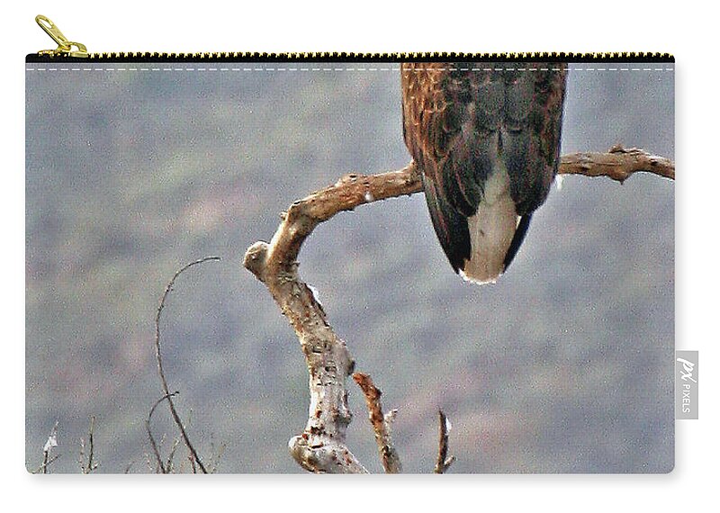 Eagle Zip Pouch featuring the photograph Phoenix Eagle by Matalyn Gardner