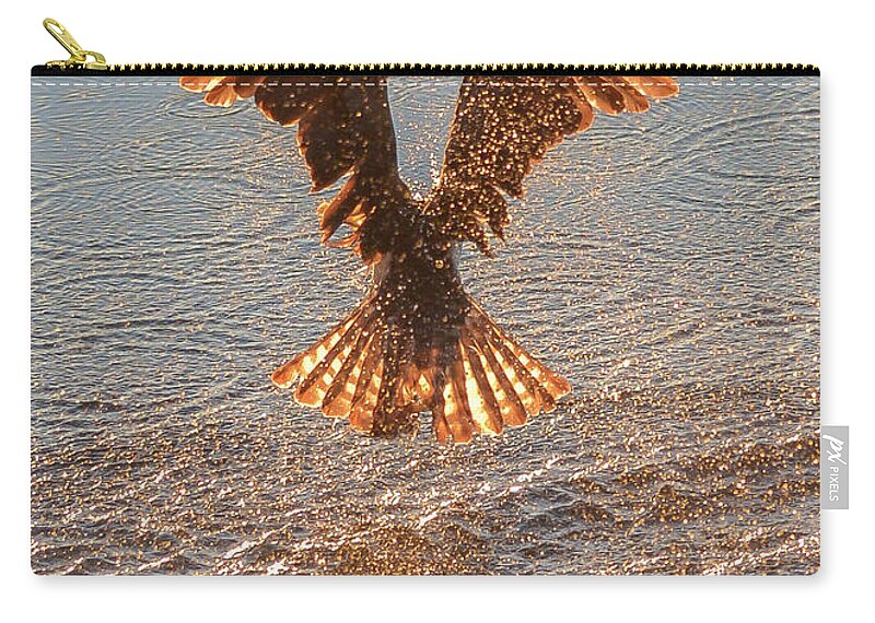 Osprey Zip Pouch featuring the photograph Phoenix Rising by Joy McAdams