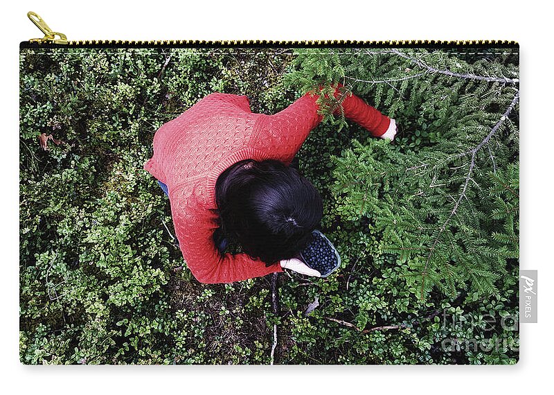 Forest Zip Pouch featuring the photograph Picking berries in the woods by Cesar Padilla