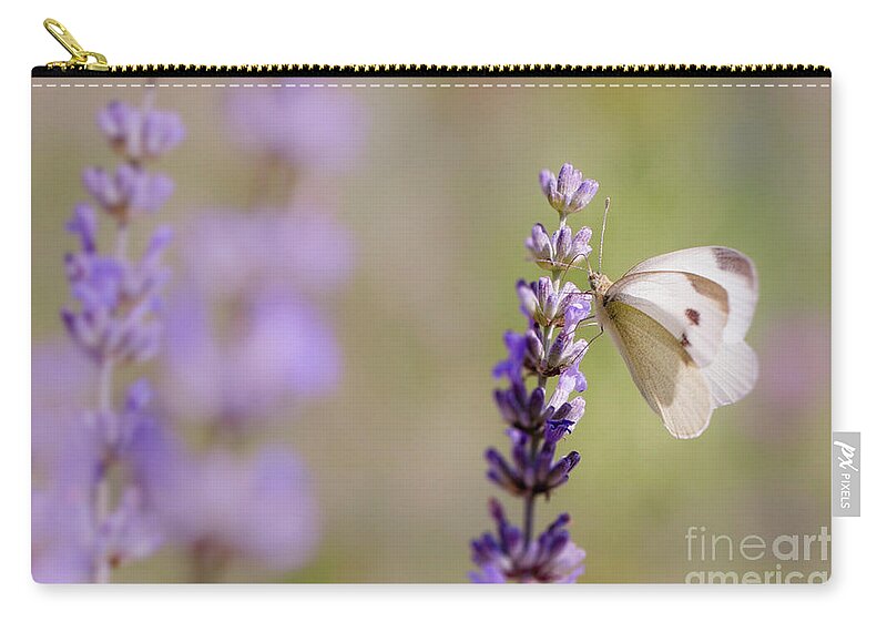 Europe Zip Pouch featuring the photograph Pieris brassicae, the large white, also called cabbage butterfly by Amanda Mohler