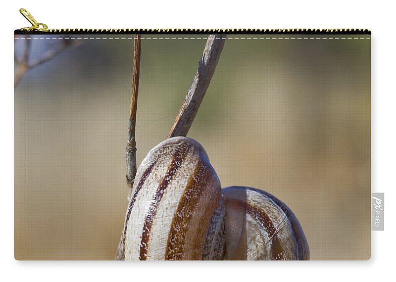 Snail Zip Pouch featuring the photograph Piggy Back by Kelley King