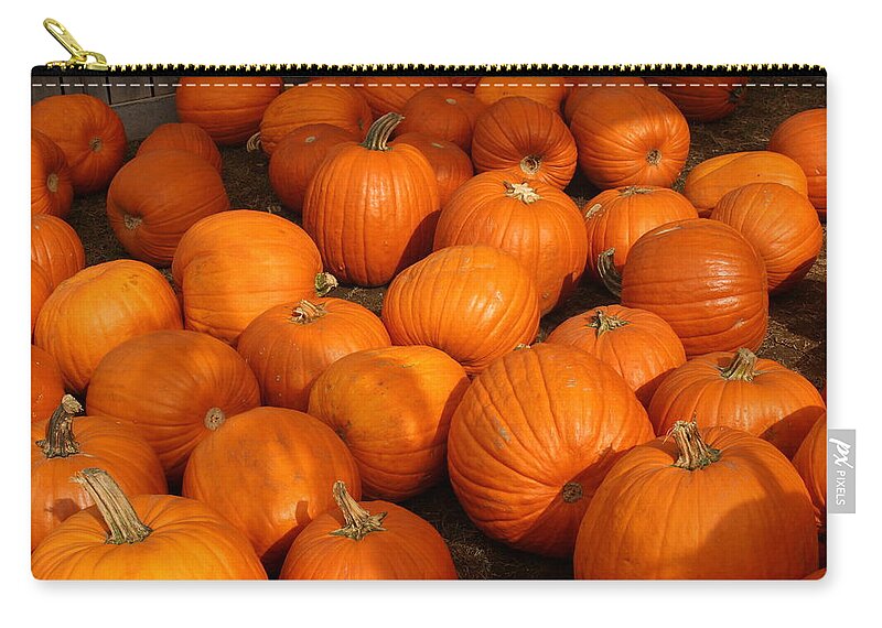 Pumpkin Patch Zip Pouch featuring the photograph Pile of Pumpkins by Suzanne DeGeorge