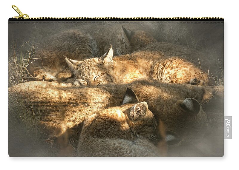 Animals Zip Pouch featuring the photograph Pile of Sleeping Bobcats by Mary Lee Dereske