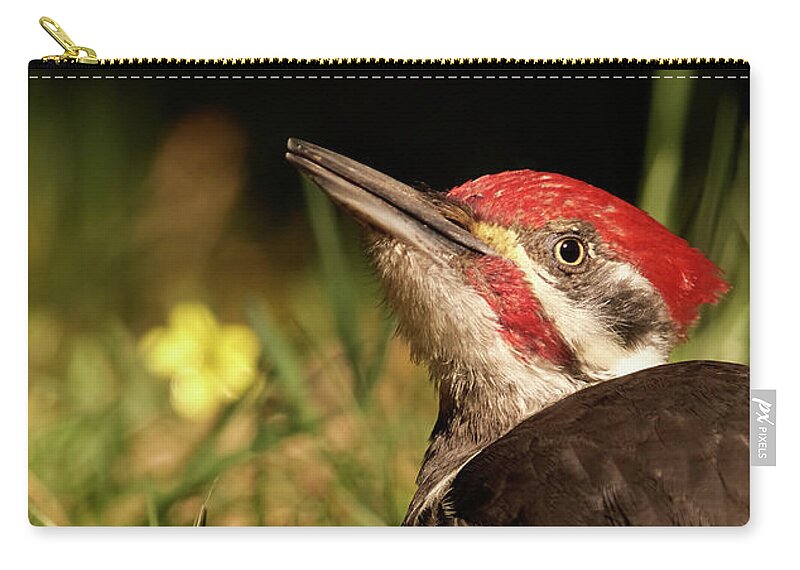 Bird Zip Pouch featuring the photograph Pileated Woodpecker by Loni Collins