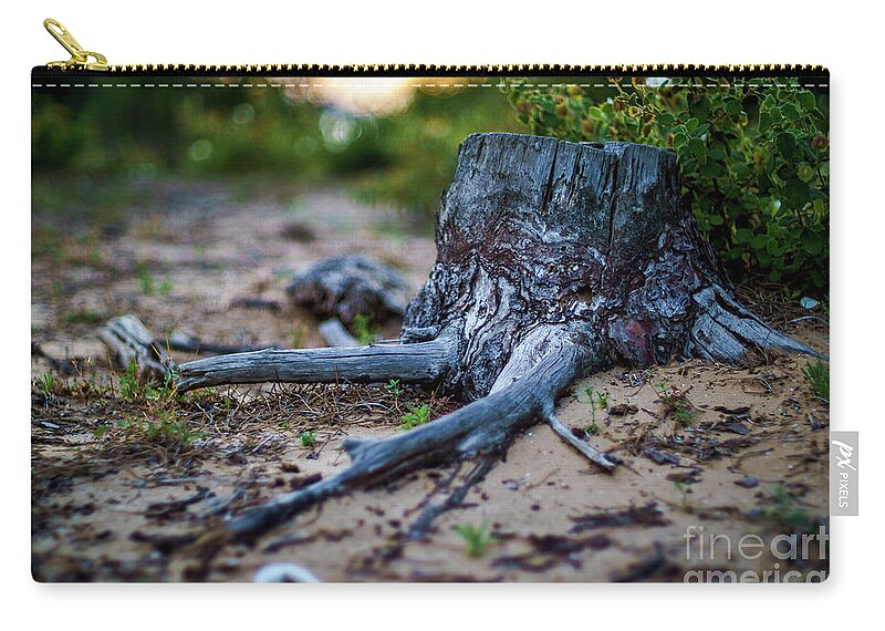50mm Zip Pouch featuring the photograph Pine Tree Stump Cadiz Bay Natural Park Spain by Pablo Avanzini