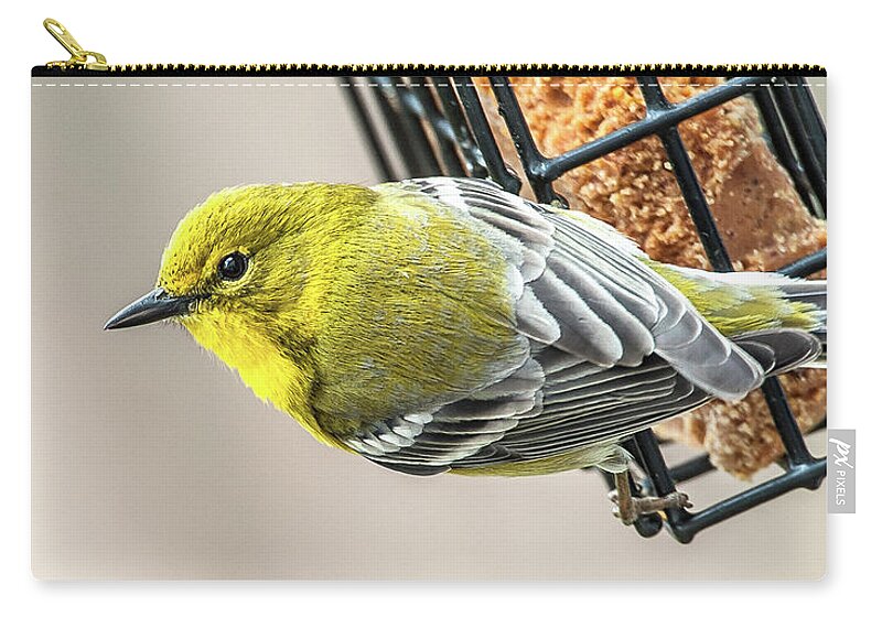 North Carolina Zip Pouch featuring the photograph Pine Warbler on Feeder by Jim Moore