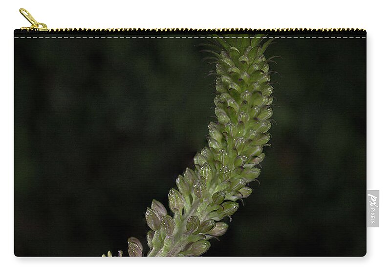 Pineapple Lily Zip Pouch featuring the photograph Pineapple Lily by John A Rodriguez