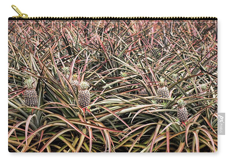 Pineapple Zip Pouch featuring the photograph Pineapple Pano by Heather Applegate