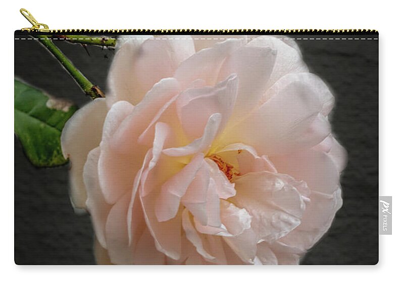 Color Zip Pouch featuring the photograph Pink a8 by Leif Sohlman
