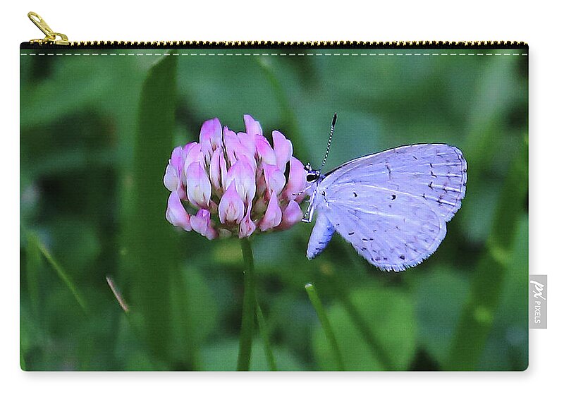 Pink And Blue Zip Pouch featuring the photograph Pink and Blue by PJQandFriends Photography