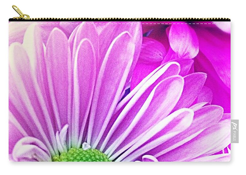 Daisy Zip Pouch featuring the photograph Pink and Purple Daisy And Mum by Ellen Levinson