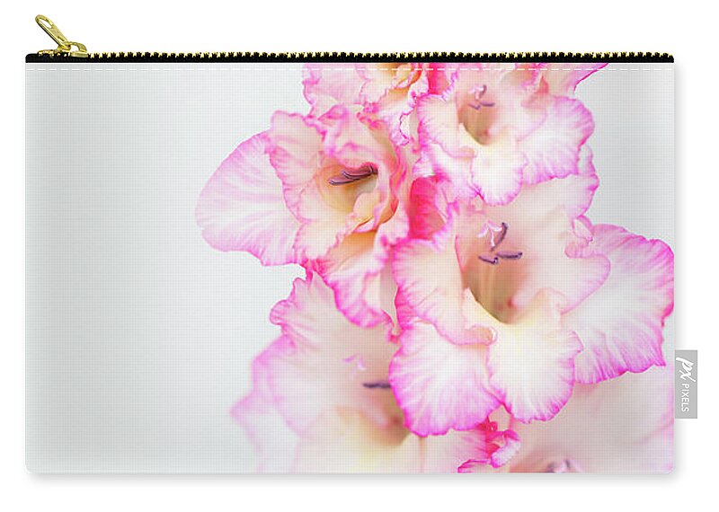 Gladiola Zip Pouch featuring the photograph Pink and White Gladiola by Susan Gary
