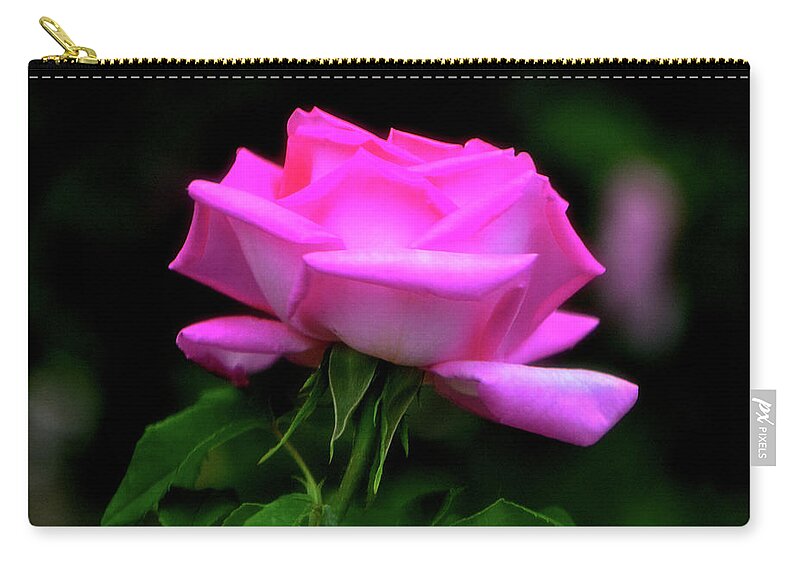 Rose Zip Pouch featuring the photograph Pink And White Rose 005 by George Bostian
