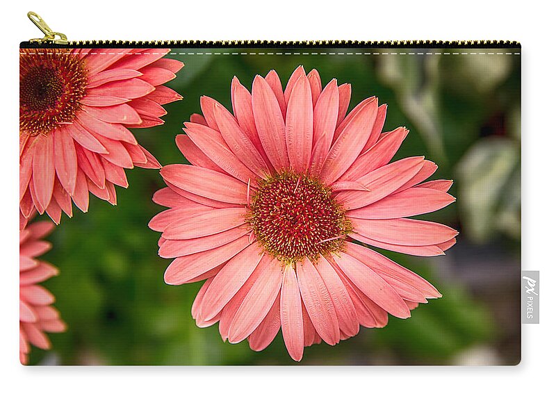 Flower Zip Pouch featuring the digital art Pink Asteraceae by John Haldane