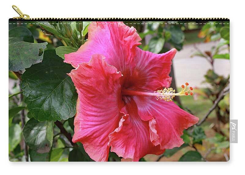 Landscape Zip Pouch featuring the photograph Pink Beauty by Mary Haber